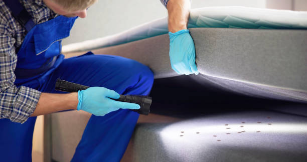 Best Bed Bug Extermination  in Caldwell, OH